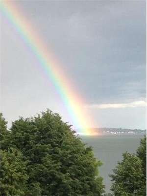 12 Douglas St unit 3, Boston, MA 02127 - photo 3