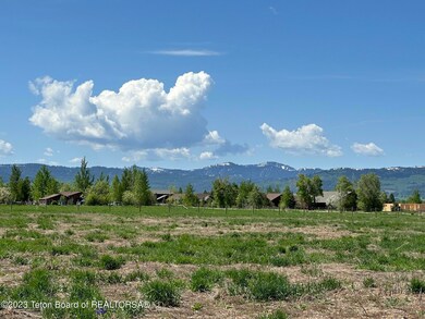 IMG_4887