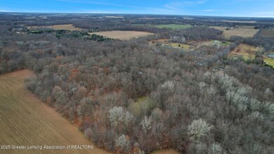 0 Allen Rd unit 292771, Fowlerville, MI 48836 - photo 6