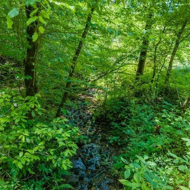 Stream