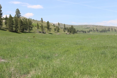 20.57 acres Custer Limestone Rd, Crazy Horse, SD 57730 - photo 7