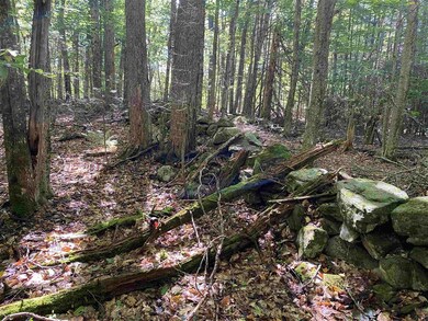 0 Mt Eustis unit 4883807, Littleton, NH 03561 - photo 4