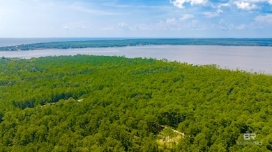 0 Baudin Ln unit 5/1-2 - 7/1-2 384482, Foley, AL 36535 - photo 4