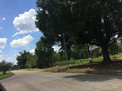 0 Fuqua St unit 6800644, Houston, TX 77075 - photo 3