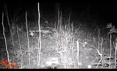 0 V L E 22 3 4 Rd, Manton, MI 49663 - photo 5