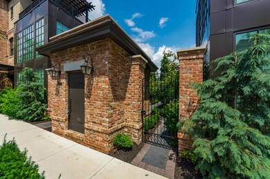 Neighborhood Launch