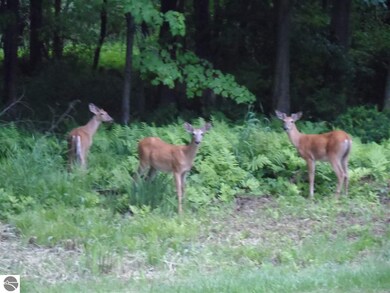 5833 E Vera Ln, Au Gres, MI 48703 - photo 5