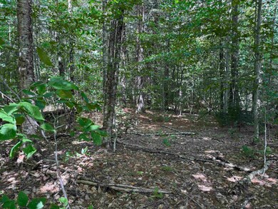 0 Hoey Rd, Cavendish, VT 05142 - photo 6