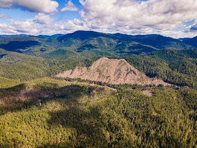 DJI_0019HDR01