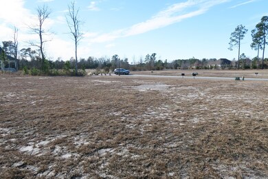 1419 Cross Water Cir, Leland, NC 28451 - photo 5