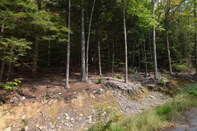 49 & 50 Treeline Rd, Thornton, NH 03285 - photo 3