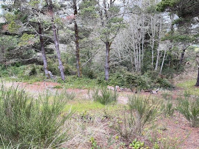 649 Ibolt Ct, Florence, OR 97439 - photo 5