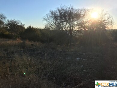 1505 Alan Arbor Ln, Copperas Cove, TX 76522 - photo 6