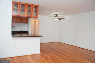111 Lee Ave unit 203, Takoma Park, MD 20912 - photo 5