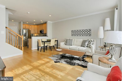 22797 Settlers Trail Terrace, Ashburn, VA 20148 - photo 2