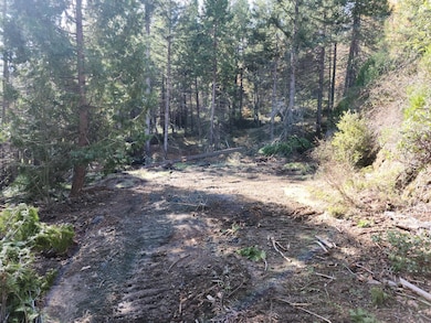 1196 Doe Rd, Rail Road Flat, CA 95245 - photo 3