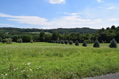 0 Creekview Rd unit PM-38030, Towamensing Township, PA 18058 - photo 2