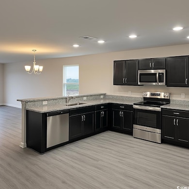 2642 Tansy Rd, Loris, SC 29569 - photo 3