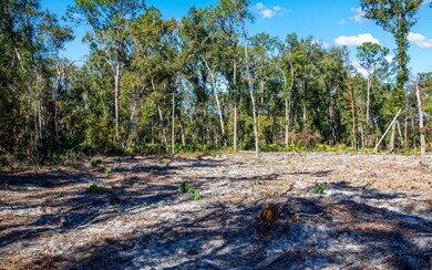 TBD N County Road 349, O'Brien, FL 32071 - photo 7