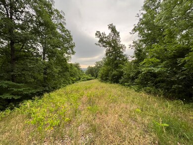 IMG_0283