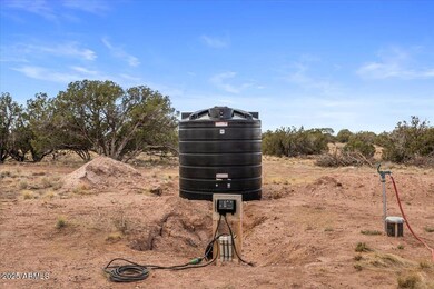 8804 Johnson Hill Trail, Snowflake, AZ 85937 - photo 5