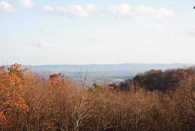 DSC_1228 (1024x685)
