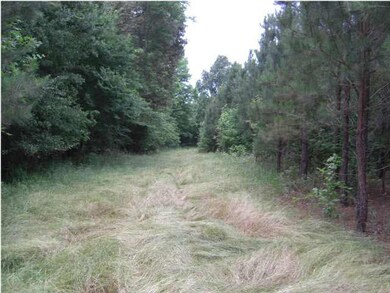 South Food Plot
