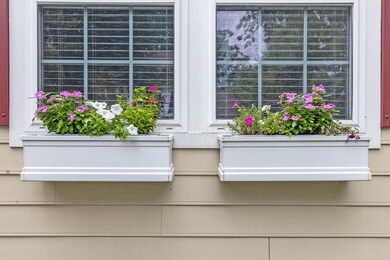 Window Boxes