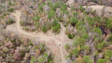 0 Border Rd, Carrollton, MS 38917 - photo 6