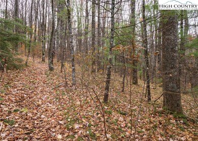 Lot 20 end of the road privacy.