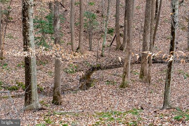 24970 Holly Tree Ln, Hollywood, MD 20636 - photo 5