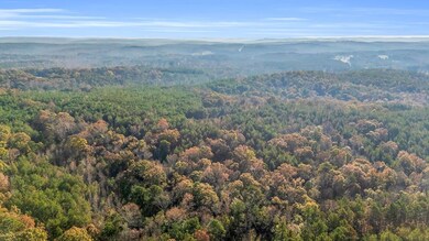 661 Cedar Tree Rd, Vernon, AL 35592 - photo 5