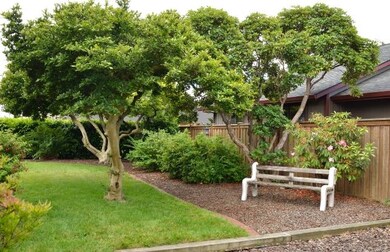 Beautiful Side Yard