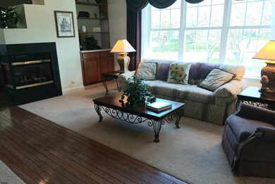 Southern Facing Windows & Custom Window Treatments
