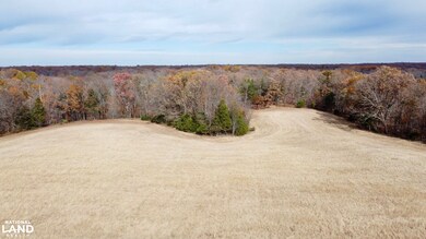 0000 Polston Ln, Hickory Grove Township, MO 63357 - photo 3