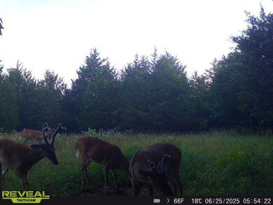 000 Highway M, Huggins, MO 65484 - photo 7