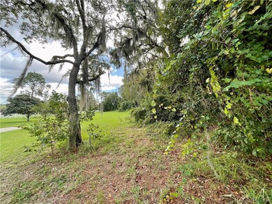 1199 N Hambletonian Dr, Hernando, FL 34442 - photo 7