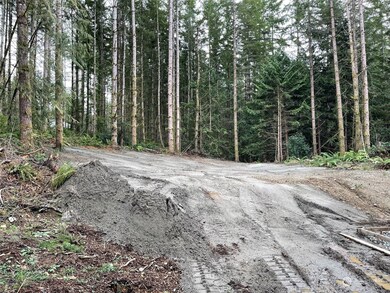 19413 52nd Ave NW, Stanwood, WA 98292 - photo 4