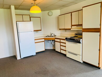 320 E Main St, Colfax, IL 61728 - photo 5