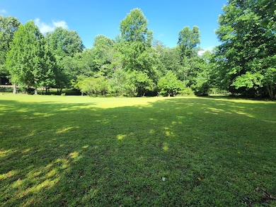 3.2 Ac Stanley Creek Rd, Blue Ridge, GA 30513 - photo 7