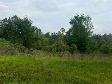 29 AC Cr 3321 unit Talley Road, Longview, TX 75602 - photo 3