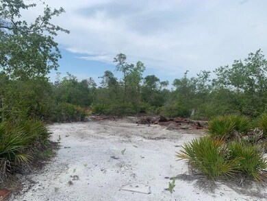 0 Holopaw Groves Rd unit F10536907, Saint Cloud, FL 34772 - photo 4
