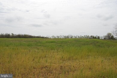 0 Longmarsh Rd unit VACL111262, Berryville, VA 22611 - photo 7