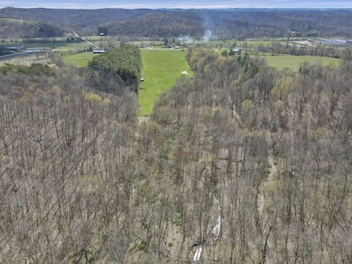12-web-or-mls-DJI_0372