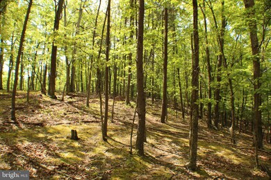 28 Ewing Dr, Capon, WV 26801 - photo 5