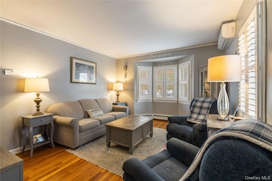 959 N 5th St, New Hyde Park, NY 11040 - photo 3