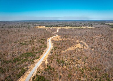 DJI_20240321134625_0131_D