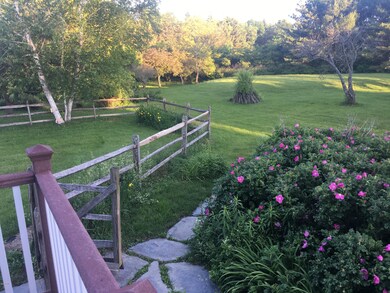 Lush gardens and lawn