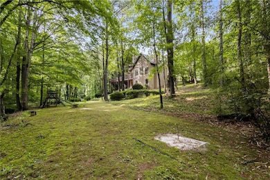 Big 1.13 acre backyard