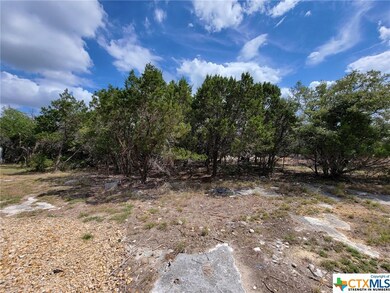 4881 Goliad Dr, Temple, TX 76502 - photo 3